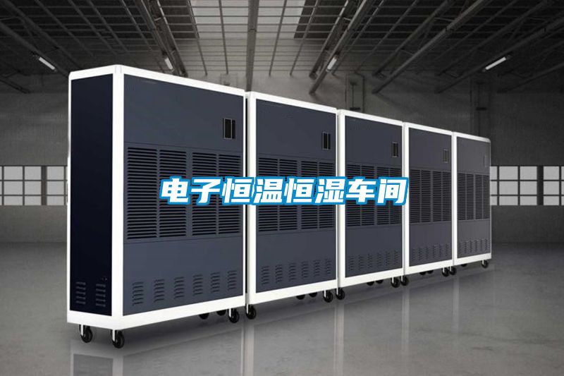 電子恒溫恒濕車(chē)間