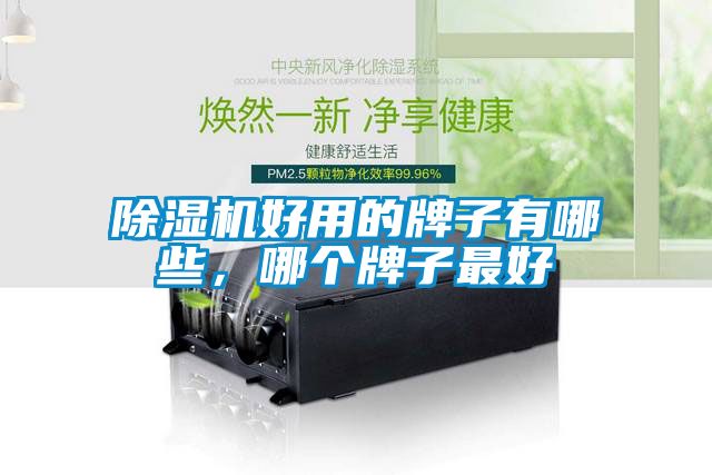 除濕機好用的牌子有哪些，哪個牌子最好