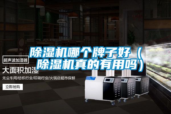 除濕機(jī)哪個牌子好（ 除濕機(jī)真的有用嗎）