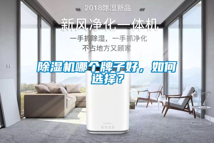 除濕機哪個牌子好，如何選擇？