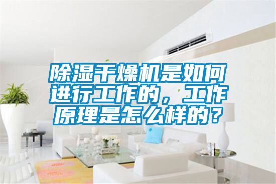 除濕干燥機是如何進行工作的，工作原理是怎么樣的？