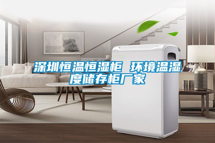 深圳恒溫恒濕柜 環(huán)境溫濕度儲(chǔ)存柜廠家