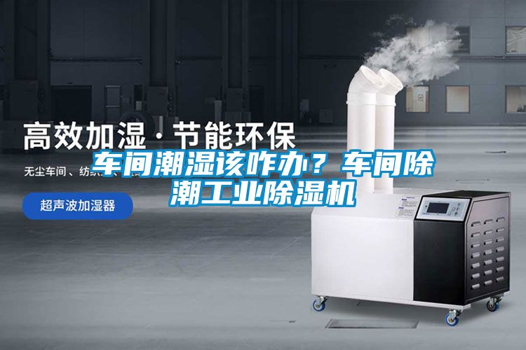 車間潮濕該咋辦？車間除潮工業(yè)除濕機(jī)