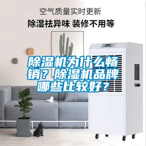 除濕機(jī)為什么暢銷？除濕機(jī)品牌哪些比較好？