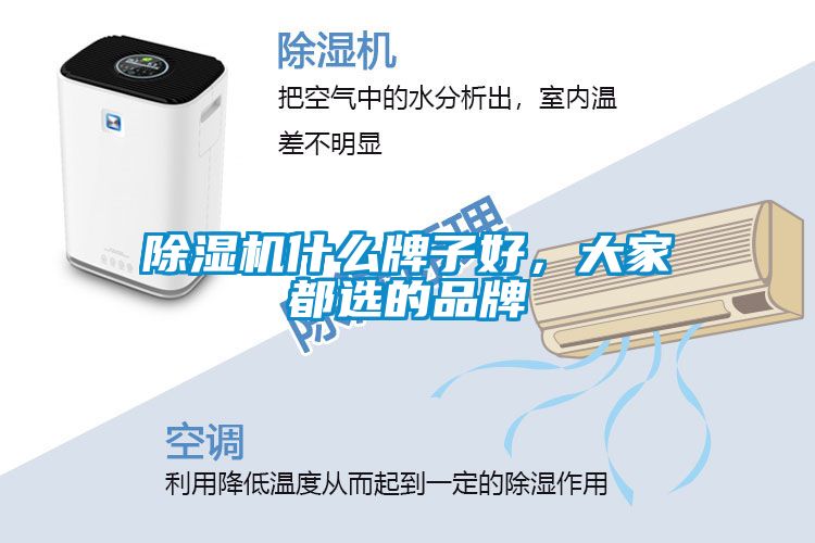 除濕機(jī)什么牌子好，大家都選的品牌