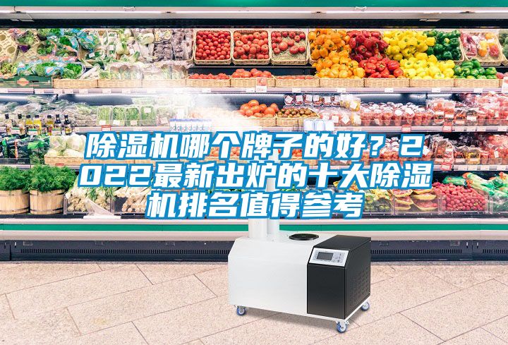 除濕機(jī)哪個牌子的好？2022最新出爐的十大除濕機(jī)排名值得參考