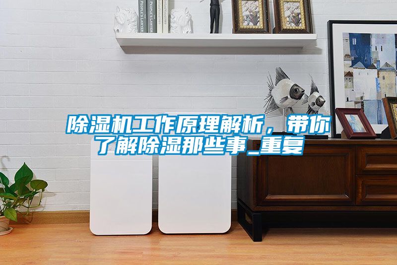 除濕機(jī)工作原理解析，帶你了解除濕那些事_重復(fù)
