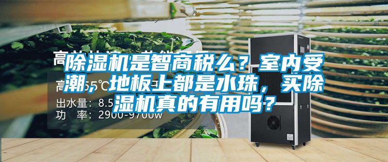 除濕機是智商稅么？室內受潮，地板上都是水珠，買除濕機真的有用嗎？