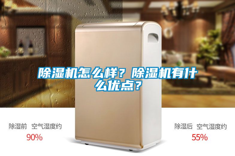 除濕機(jī)怎么樣？除濕機(jī)有什么優(yōu)點？