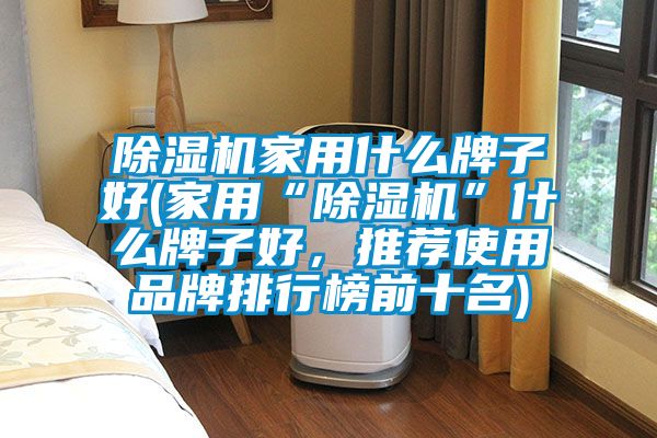 除濕機(jī)家用什么牌子好(家用“除濕機(jī)”什么牌子好，推薦使用品牌排行榜前十名)