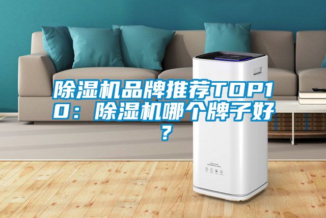 除濕機(jī)品牌推薦TOP10：除濕機(jī)哪個(gè)牌子好？