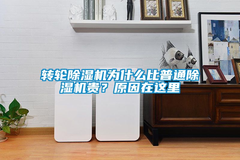 轉(zhuǎn)輪除濕機(jī)為什么比普通除濕機(jī)貴？原因在這里