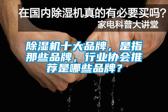 除濕機(jī)十大品牌，是指那些品牌，行業(yè)協(xié)會(huì)推薦是哪些品牌？