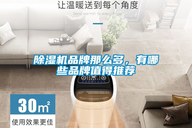 除濕機(jī)品牌那么多，有哪些品牌值得推薦
