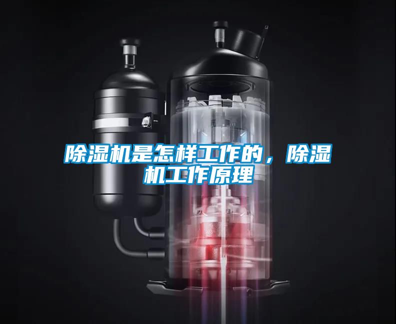 除濕機是怎樣工作的，除濕機工作原理