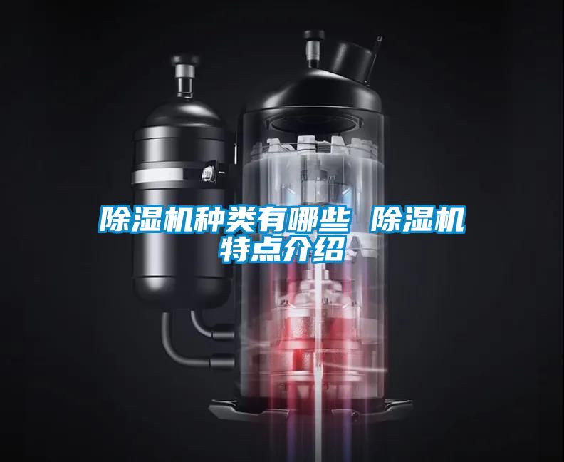 除濕機(jī)種類(lèi)有哪些 除濕機(jī)特點(diǎn)介紹