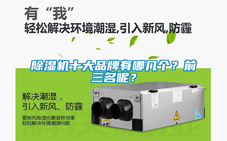 除濕機十大品牌有哪幾個？前三名呢？