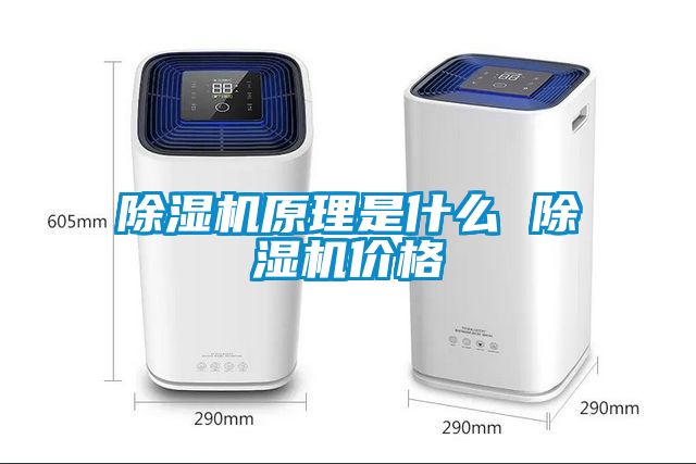 除濕機(jī)原理是什么 除濕機(jī)價格