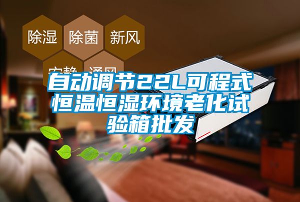 自動調節(jié)22L可程式恒溫恒濕環(huán)境老化試驗箱批發(fā)