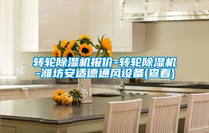 轉(zhuǎn)輪除濕機(jī)報價-轉(zhuǎn)輪除濕機(jī)-濰坊安適德通風(fēng)設(shè)備(查看)