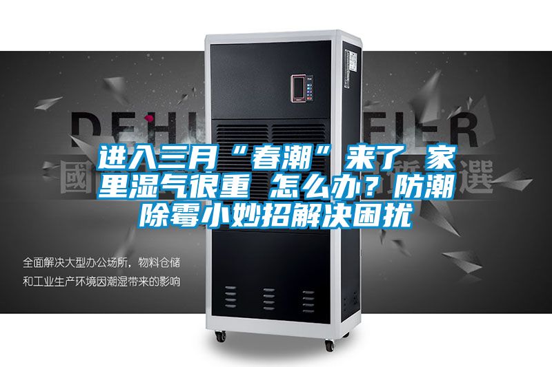 進入三月“春潮”來了 家里濕氣很重 怎么辦？防潮除霉小妙招解決困擾