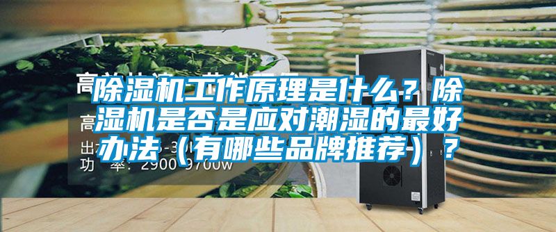 除濕機(jī)工作原理是什么？除濕機(jī)是否是應(yīng)對潮濕的最好辦法（有哪些品牌推薦）？