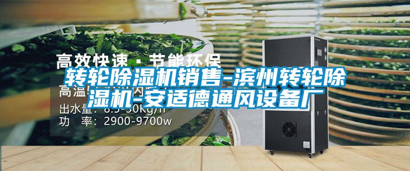 轉(zhuǎn)輪除濕機(jī)銷(xiāo)售-濱州轉(zhuǎn)輪除濕機(jī)-安適德通風(fēng)設(shè)備廠