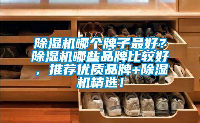 除濕機(jī)哪個(gè)牌子最好？除濕機(jī)哪些品牌比較好，推薦優(yōu)質(zhì)品牌+除濕機(jī)精選！