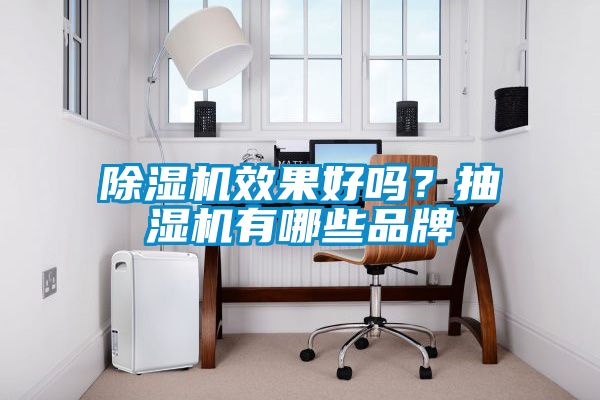 除濕機(jī)效果好嗎？抽濕機(jī)有哪些品牌