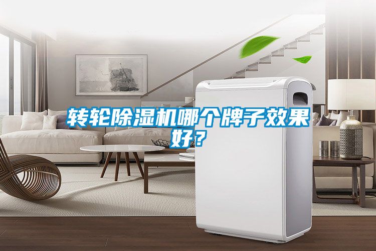 轉(zhuǎn)輪除濕機(jī)哪個牌子效果好？
