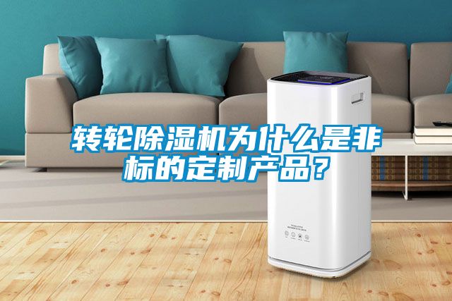 轉(zhuǎn)輪除濕機(jī)為什么是非標(biāo)的定制產(chǎn)品？