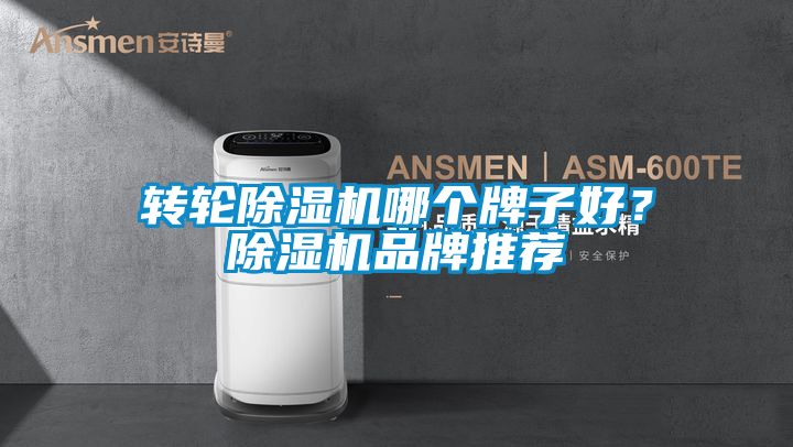 轉(zhuǎn)輪除濕機(jī)哪個(gè)牌子好？除濕機(jī)品牌推薦