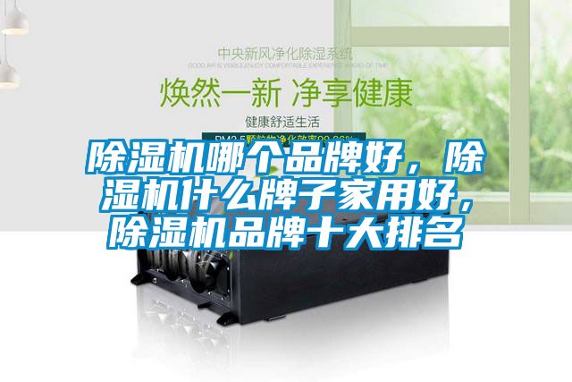除濕機(jī)哪個(gè)品牌好，除濕機(jī)什么牌子家用好，除濕機(jī)品牌十大排名