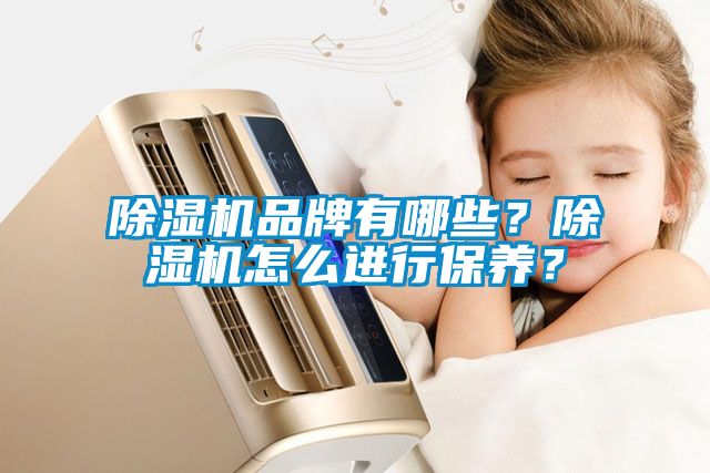 除濕機品牌有哪些？除濕機怎么進行保養(yǎng)？