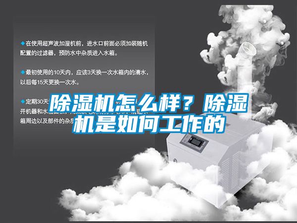 除濕機(jī)怎么樣？除濕機(jī)是如何工作的