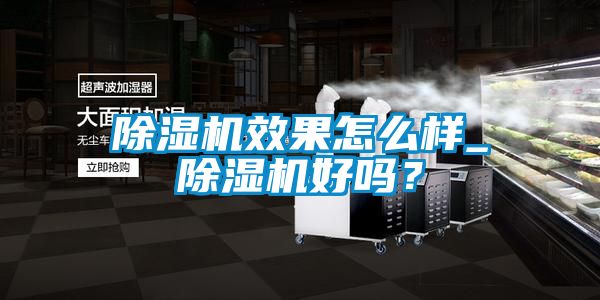 除濕機(jī)效果怎么樣_除濕機(jī)好嗎？