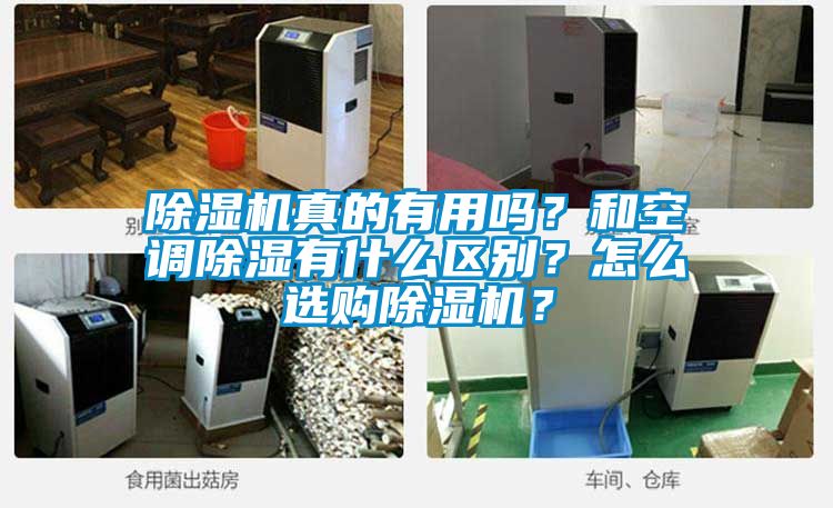 除濕機真的有用嗎？和空調(diào)除濕有什么區(qū)別？怎么選購除濕機？