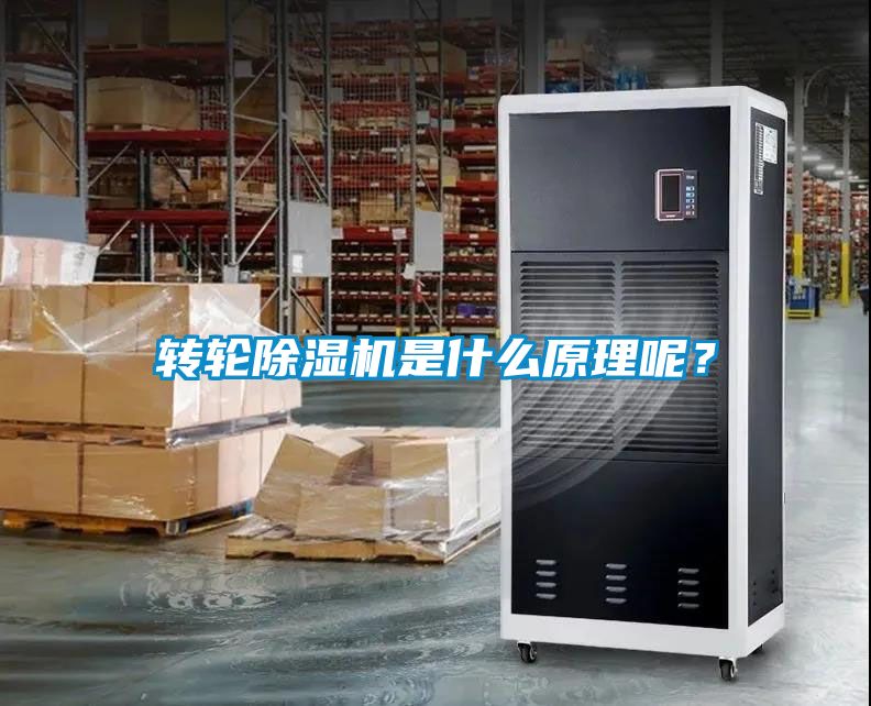 轉輪除濕機是什么原理呢？