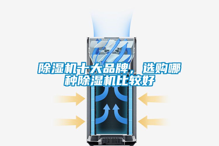 除濕機(jī)十大品牌，選購(gòu)哪種除濕機(jī)比較好