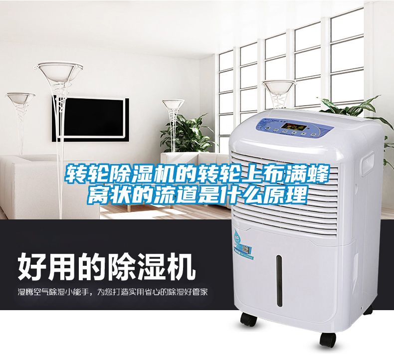 轉(zhuǎn)輪除濕機的轉(zhuǎn)輪上布滿蜂窩狀的流道是什么原理
