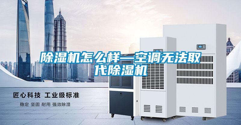 除濕機(jī)怎么樣—空調(diào)無(wú)法取代除濕機(jī)