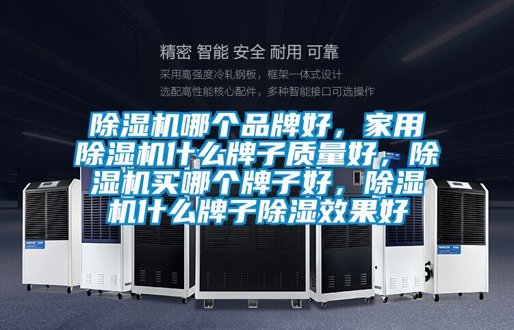 除濕機哪個品牌好，家用除濕機什么牌子質(zhì)量好，除濕機買哪個牌子好，除濕機什么牌子除濕效果好