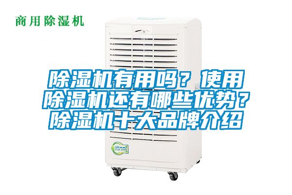 除濕機(jī)有用嗎？使用除濕機(jī)還有哪些優(yōu)勢？除濕機(jī)十大品牌介紹