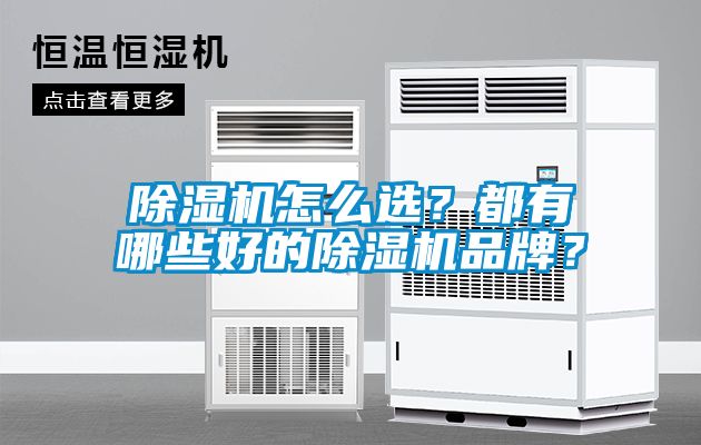 除濕機(jī)怎么選？都有哪些好的除濕機(jī)品牌？
