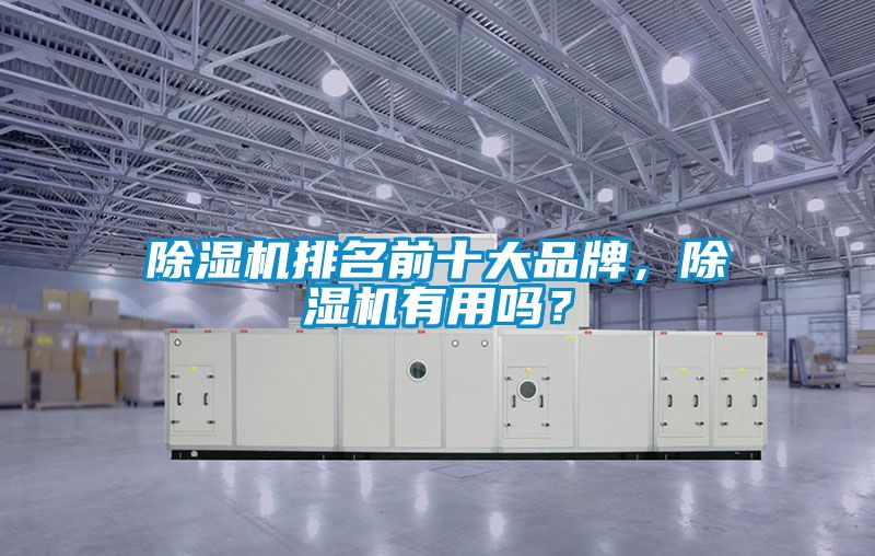 除濕機(jī)排名前十大品牌，除濕機(jī)有用嗎？