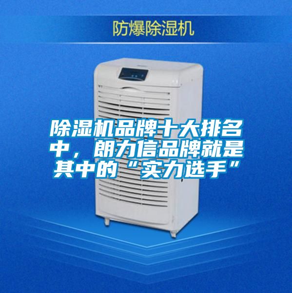 除濕機品牌十大排名中，朗力信品牌就是其中的“實力選手”