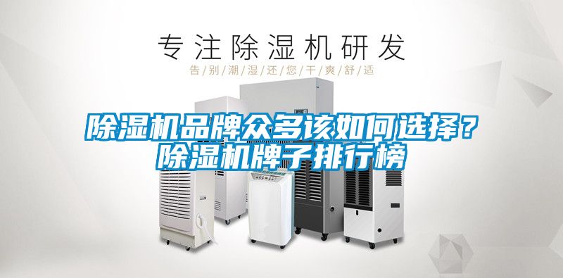 除濕機(jī)品牌眾多該如何選擇？除濕機(jī)牌子排行榜