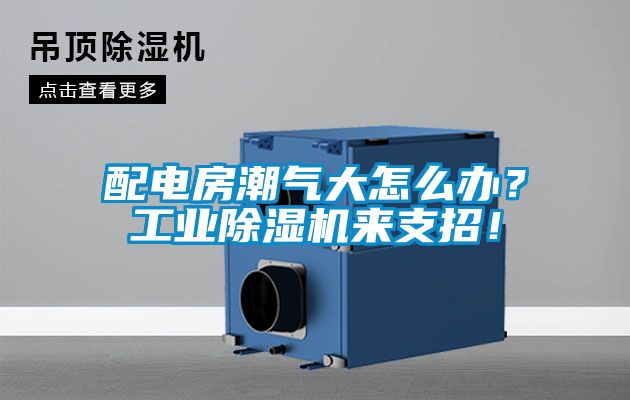 配電房潮氣大怎么辦？工業(yè)除濕機(jī)來支招！