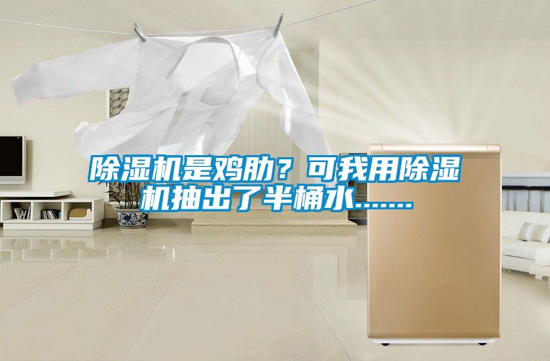 除濕機(jī)是雞肋？可我用除濕機(jī)抽出了半桶水.......