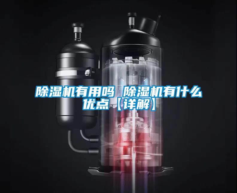 除濕機有用嗎 除濕機有什么優(yōu)點【詳解】